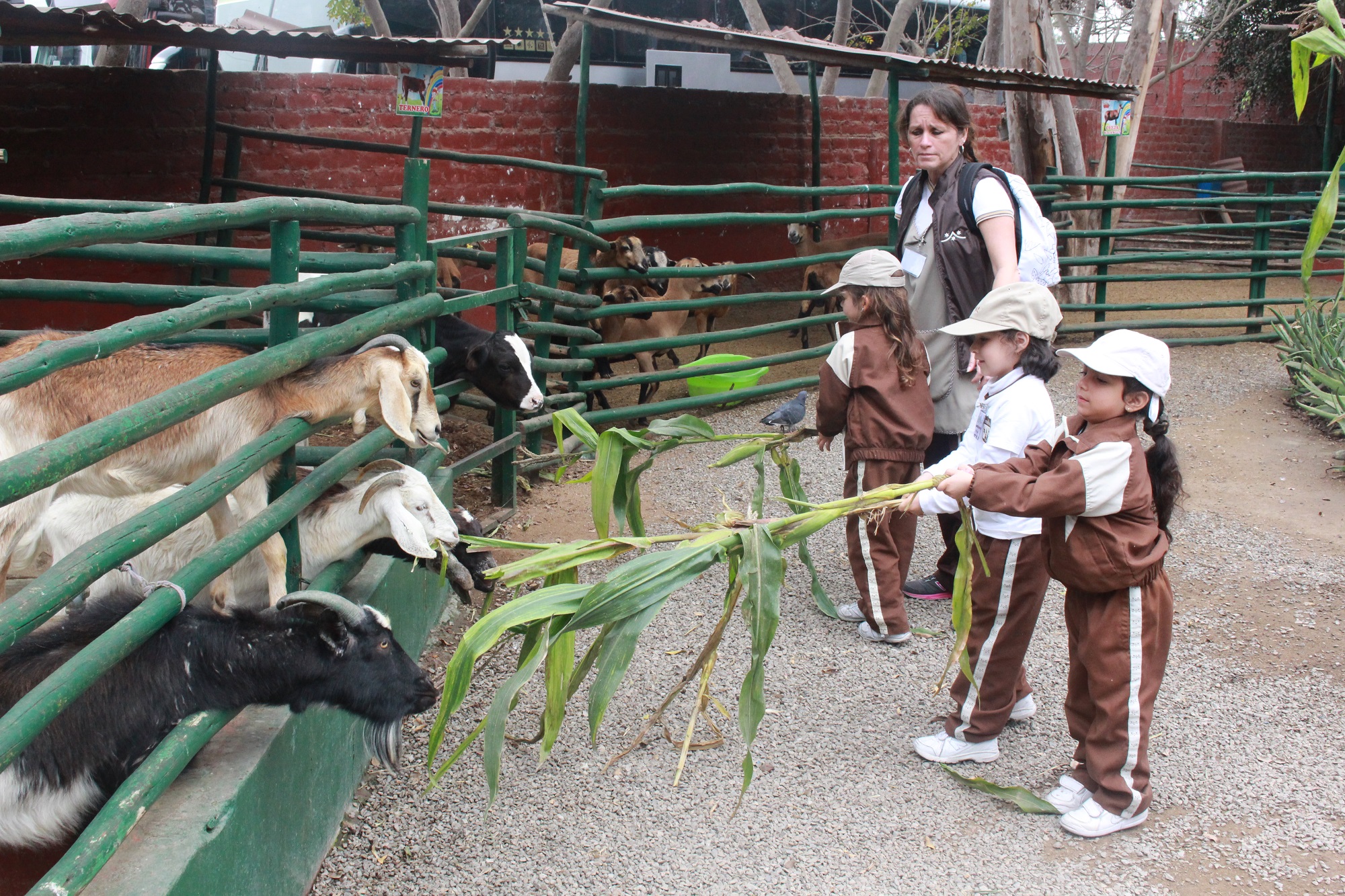 Carmelitas De PrekÍnder Visitaron Granja Del Arriero Carmelitas